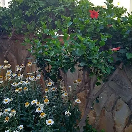 Costa Begonville 2 Apartment